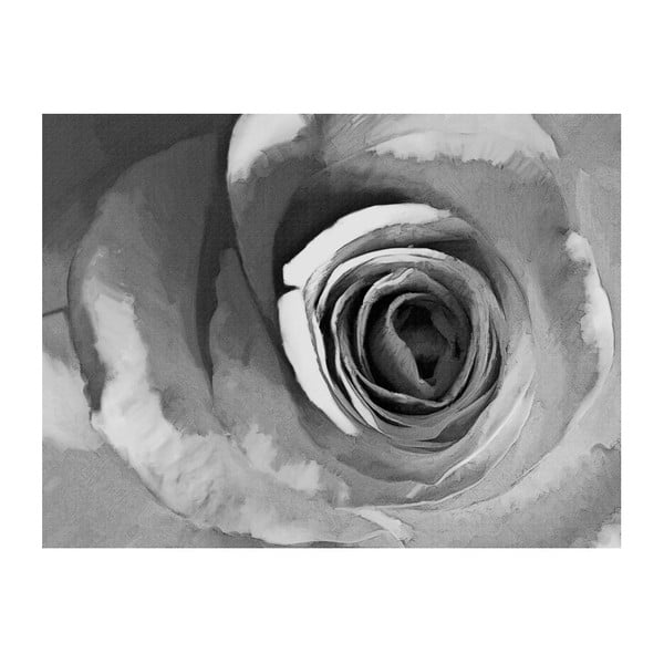 Tapeta wielkoformatowa Artgeist Paper Rose, 200x154 cm