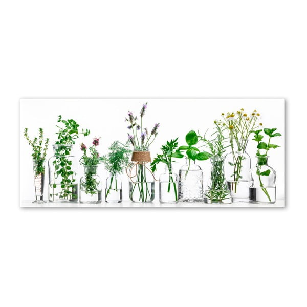 Obraz Styler Glasspik Herbs, 30x80 cm