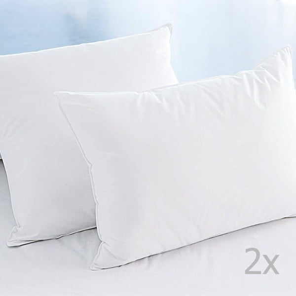 Zestaw 2 poduszek z mikrowłókna White, 50x70 cm