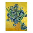 Reprodukcja obrazu Vincenta van Gogha – Irises, 60x45 cm