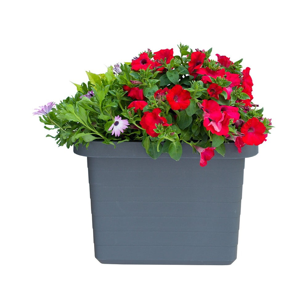 Antracytowa Duza Donica Samonawadniajaca Plastia Berberis Uno 27 L Bonami