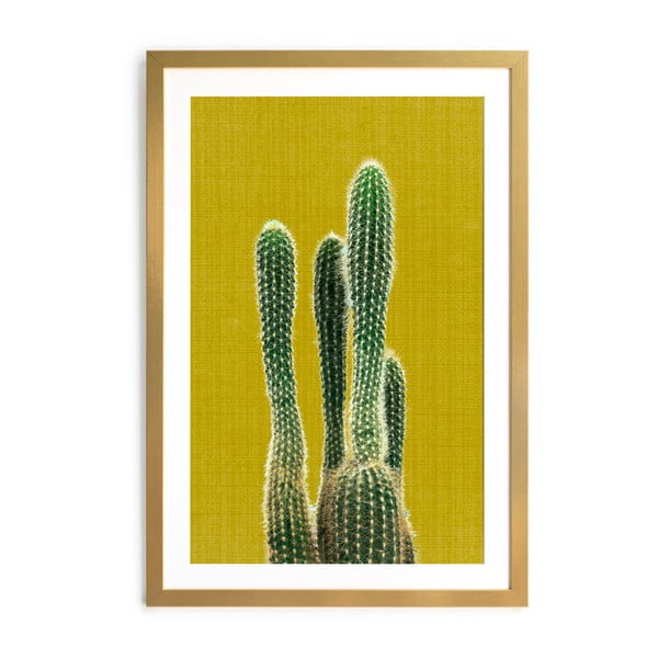 Obraz Surdic Mustard Background Cactus, 40x60 cm