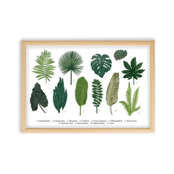 Obraz w ramie z drewna sosnowego Surdic Leafes Guide, 50x70 cm