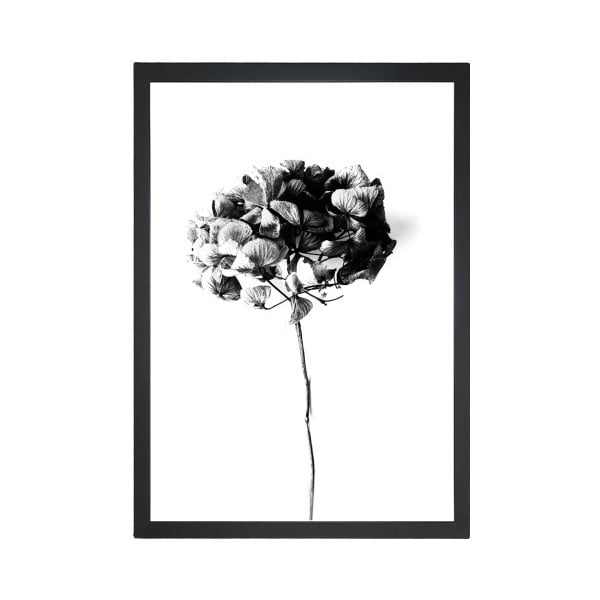 Obraz Tablo Center Velvet Flower, 24x29 cm