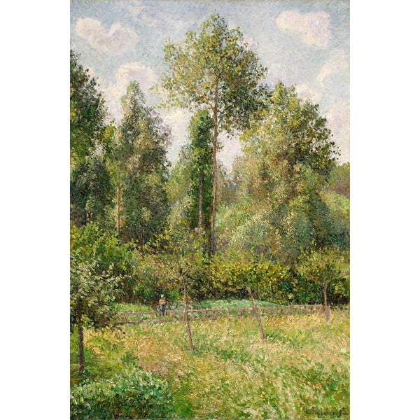 Reprodukcja obrazu Camille'a Pissarra – Poplars Éragny, 60x80 cm