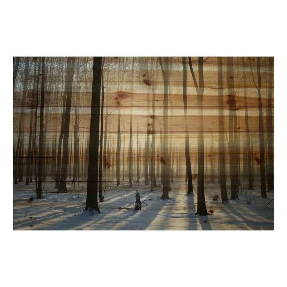 Obraz na drewnie Marmont Hill Wooden Age, 61x41 cm