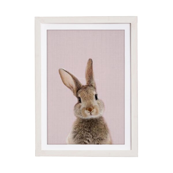 Obraz w ramie Querido Bestiario Baby Rabbit, 30x40 cm