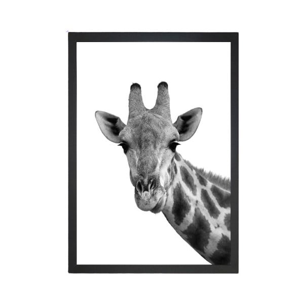 Obraz Tablo Center Giraffe Portrait, 24x29 cm