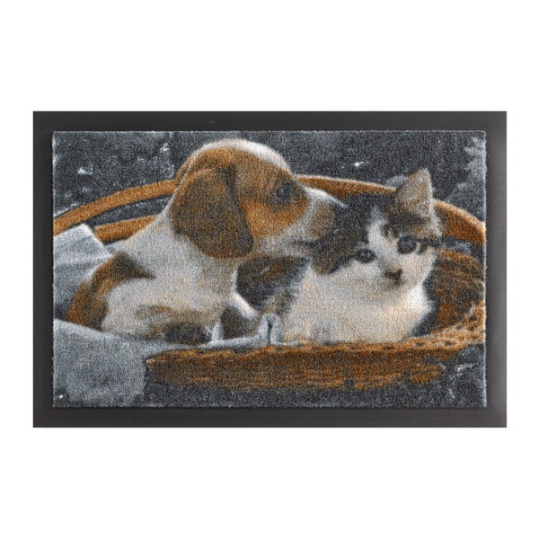 Wycieraczka Hanse Home Animals Dog and Cat, 40x60 cm
