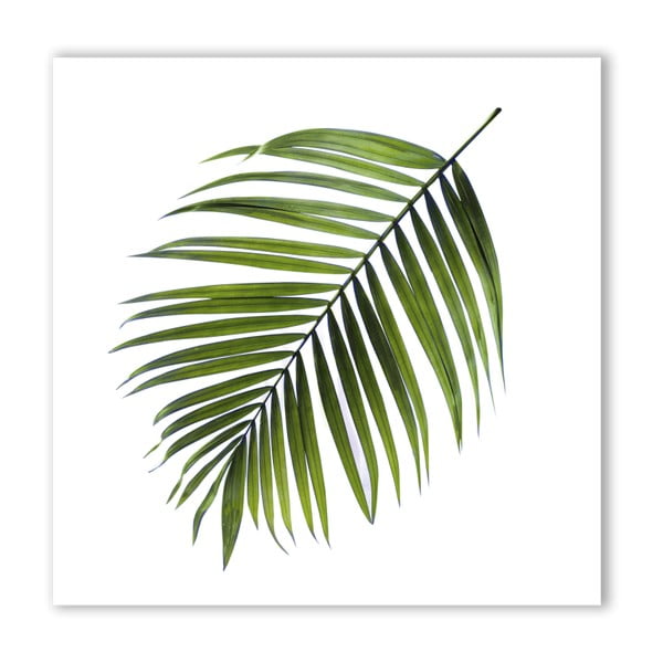 Obraz Styler Canvas Greenery Black Palm, 32x32 cm
