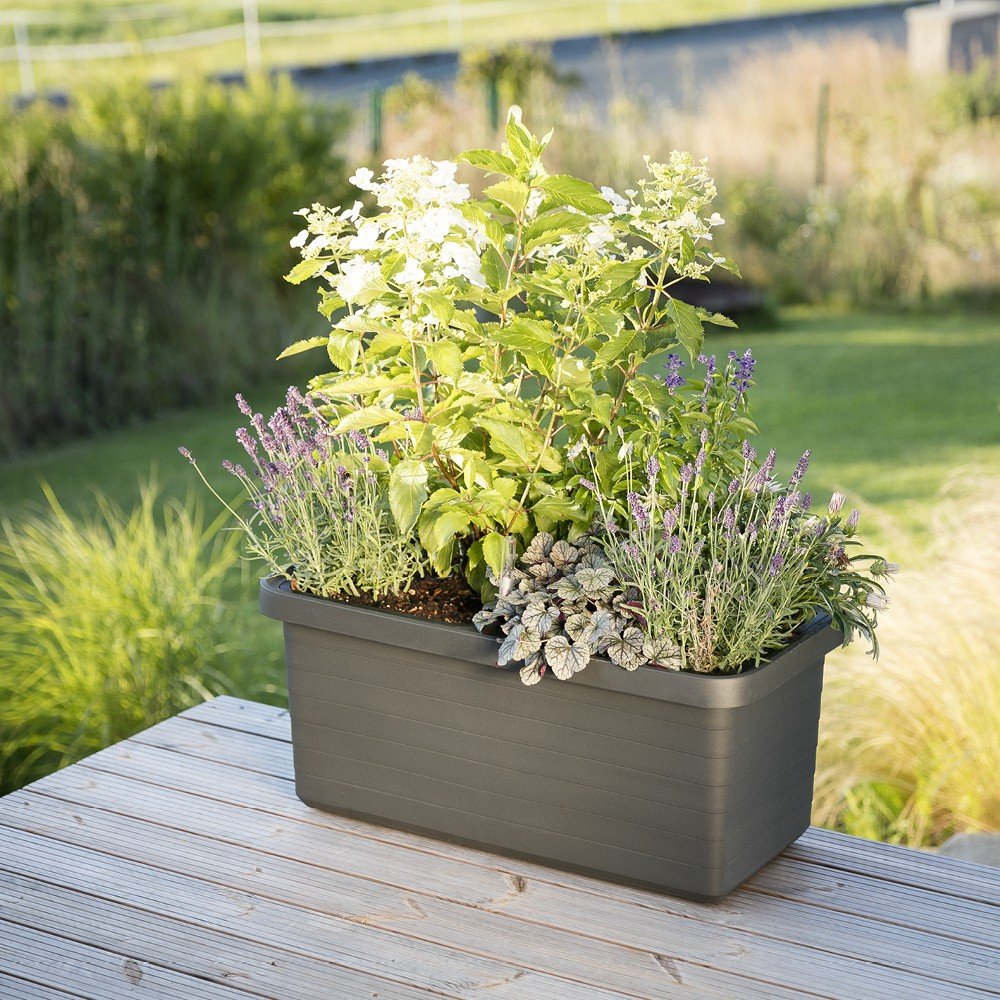 Antracytowa Duza Donica Samonawadniajaca Plastia Berberis Duo 54 L Bonami