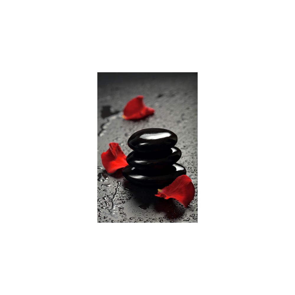 Obraz na szkle Rose Zen, 40x60  cm