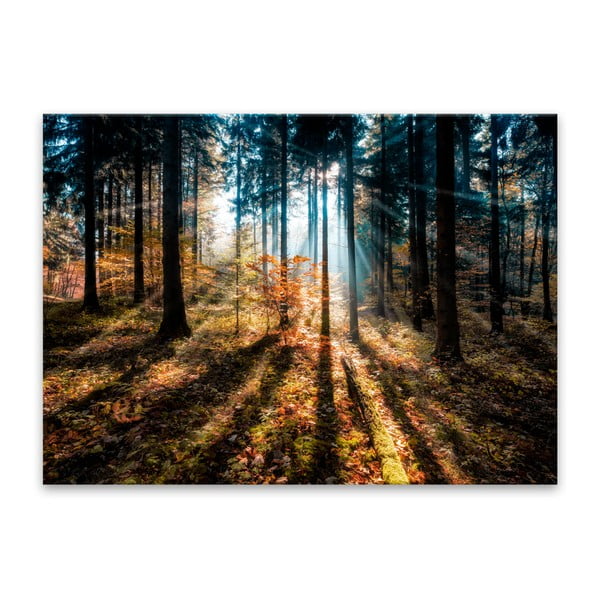 Obraz Styler Glasspik Autumn Sunset, 70x100 cm