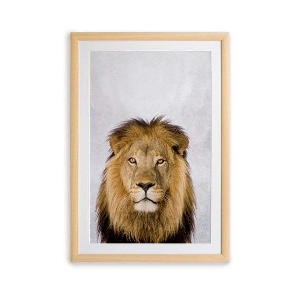 Obraz w ramie Surdic Lion, 30x40 cm