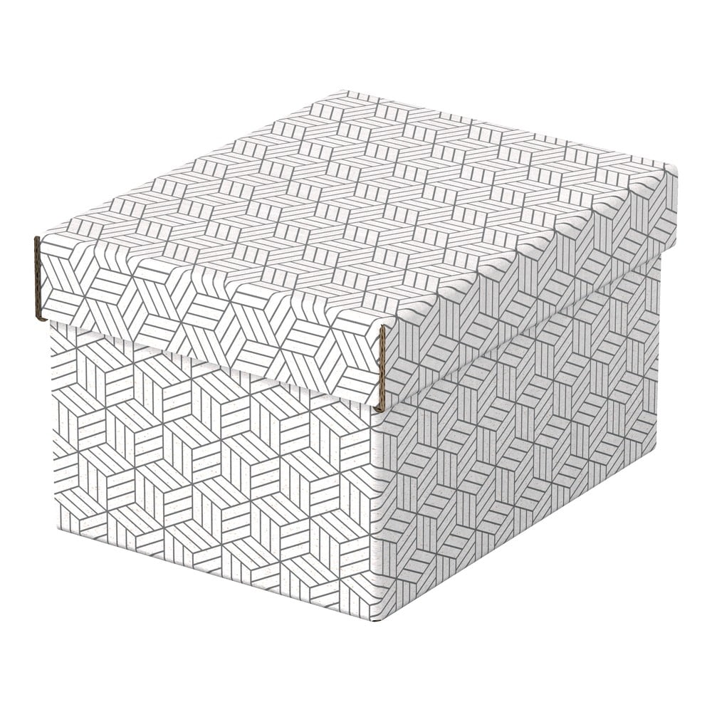 Zestaw 3 białych pudełek do przechowywania Esselte Home, 20x25,5 cm