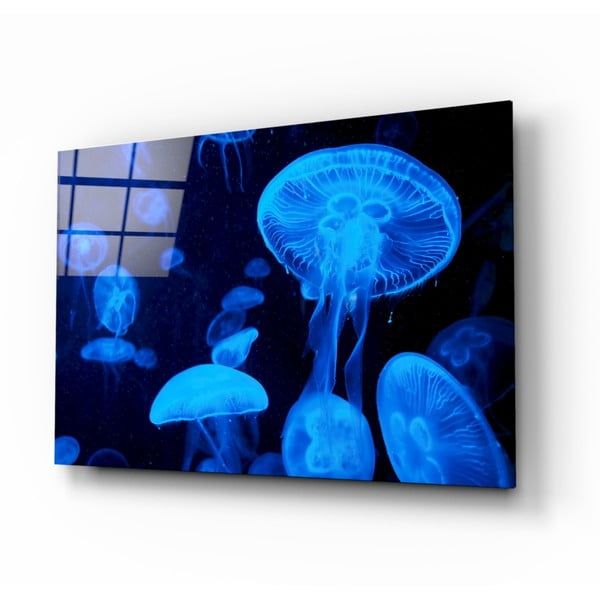 Szklany obraz Insigne Jellyfish