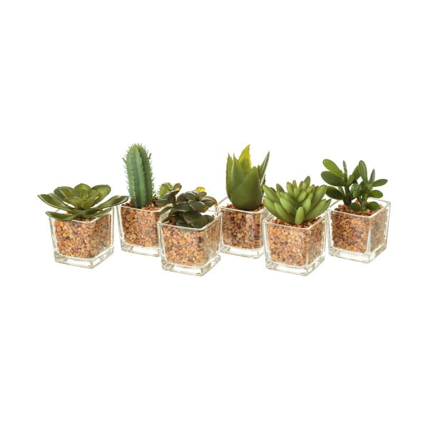 Zestaw 6 dekoracyjnych kaktusów Unimasa